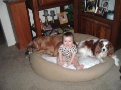 Future Dog Trainer